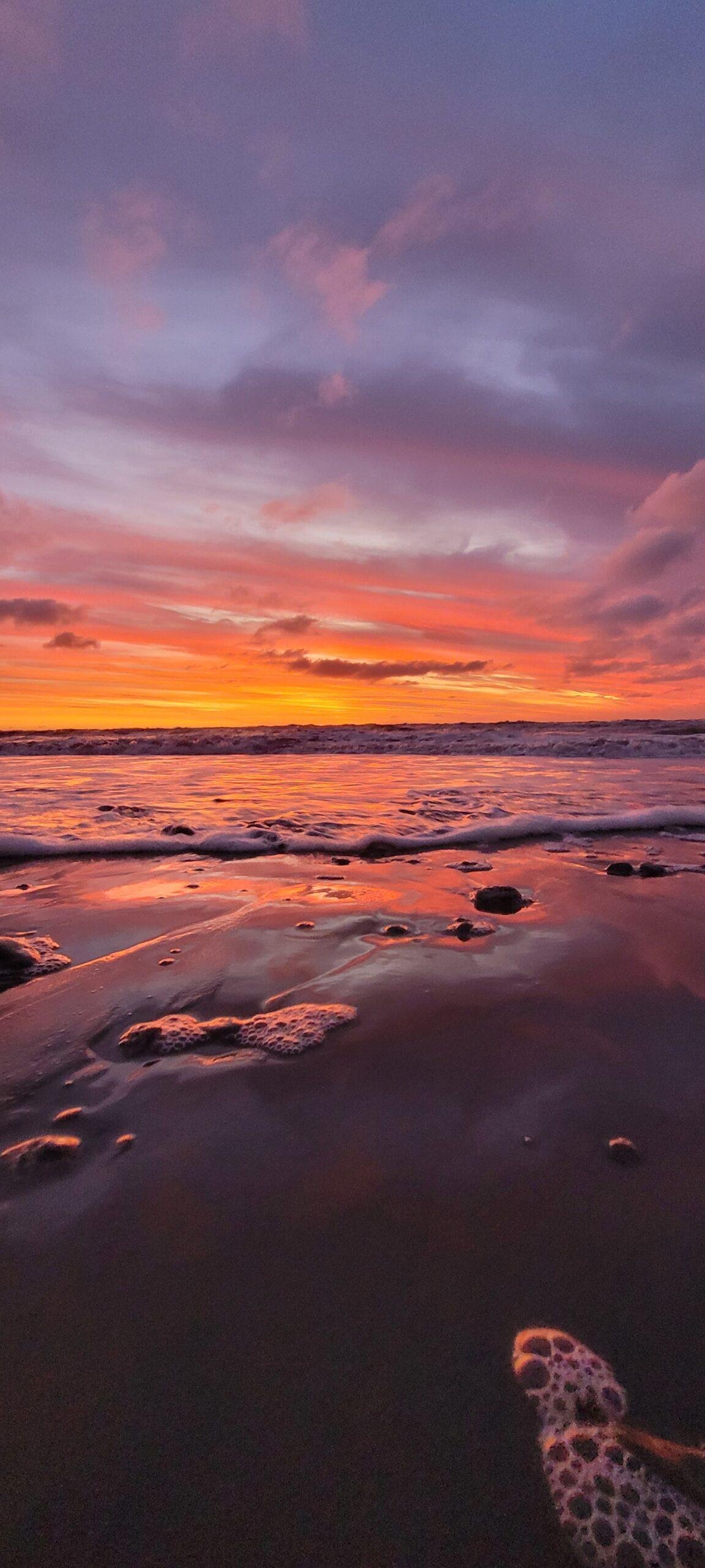 Freedom Camping Otaki Beach
