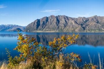 Lake Hawea